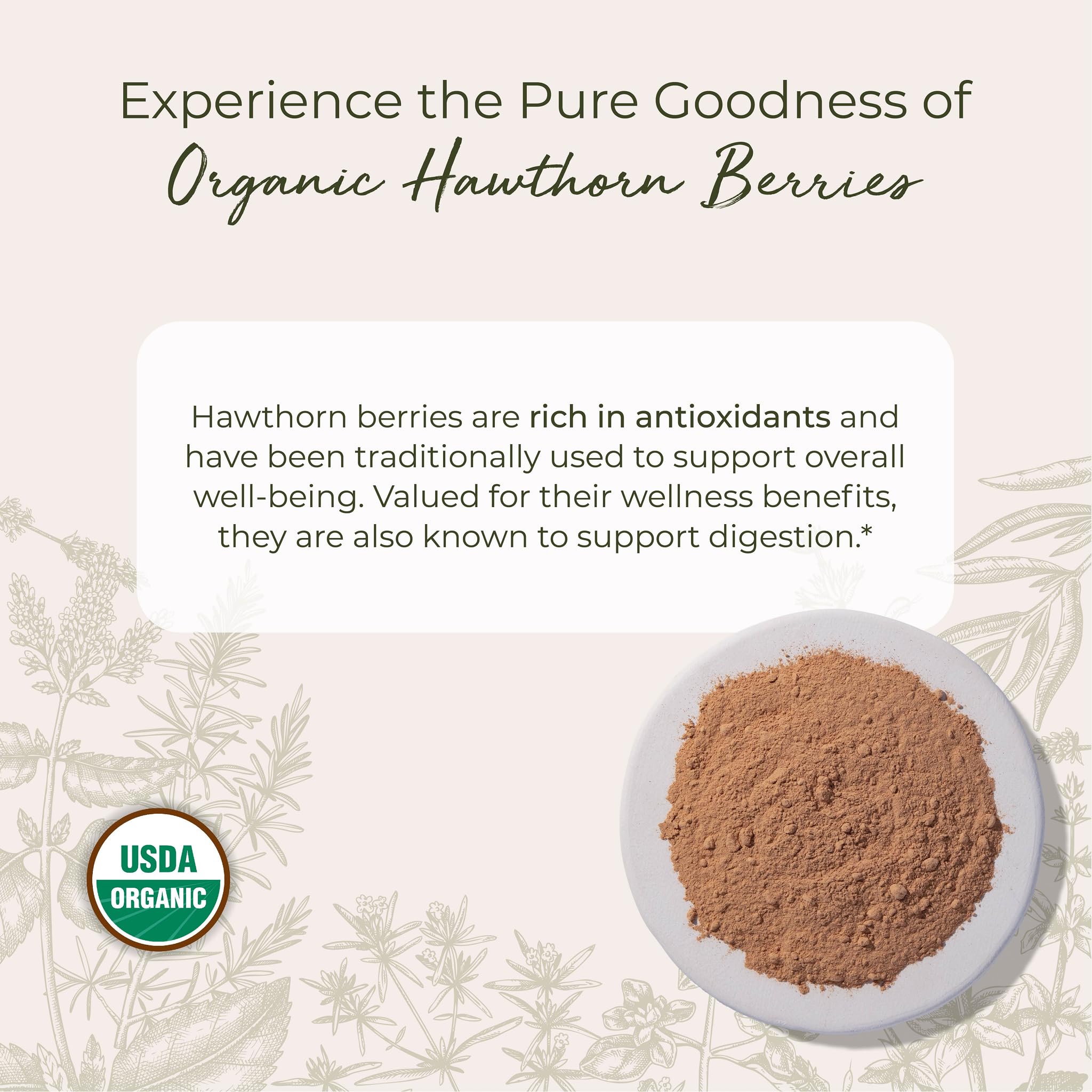 Starwest Hawthorn Berry Powder with tea cup for soothing herbal tea.