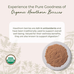Starwest Hawthorn Berry Powder with tea cup for soothing herbal tea.