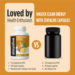Stay Alive vegan gluten-free ginger capsules packaging emphasizes quality and purity.