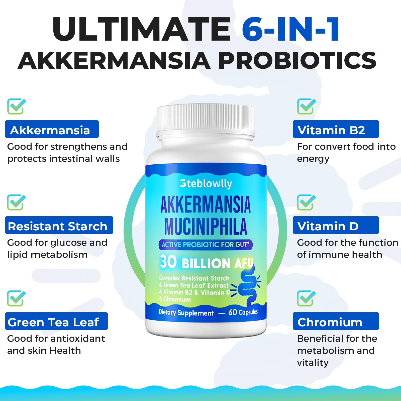 Steblowlly Akkermansia delayed-release capsules emphasize targeted intestine delivery.