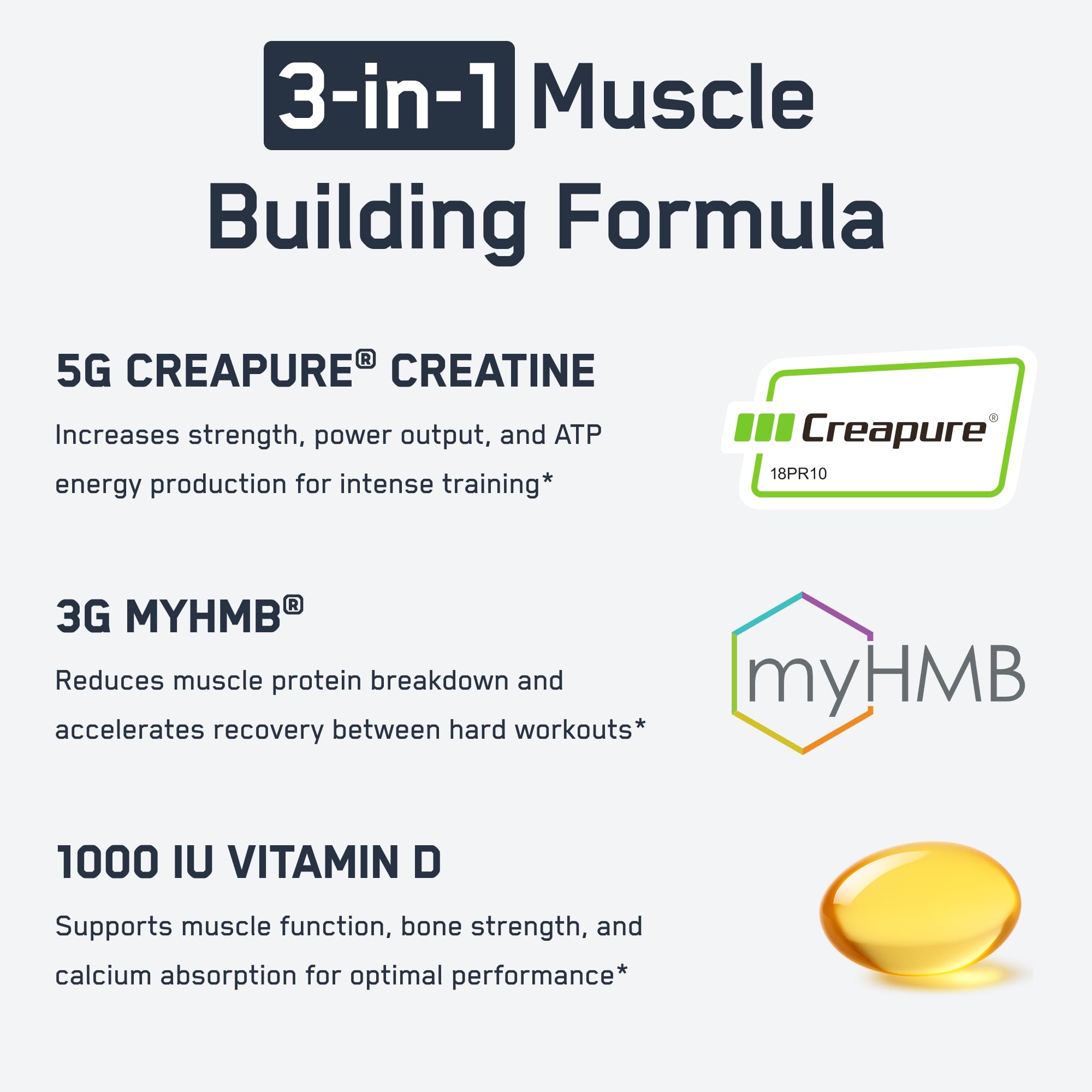 SteelFit Creatine HMB powder dissolving in water supports clean energy and endurance.