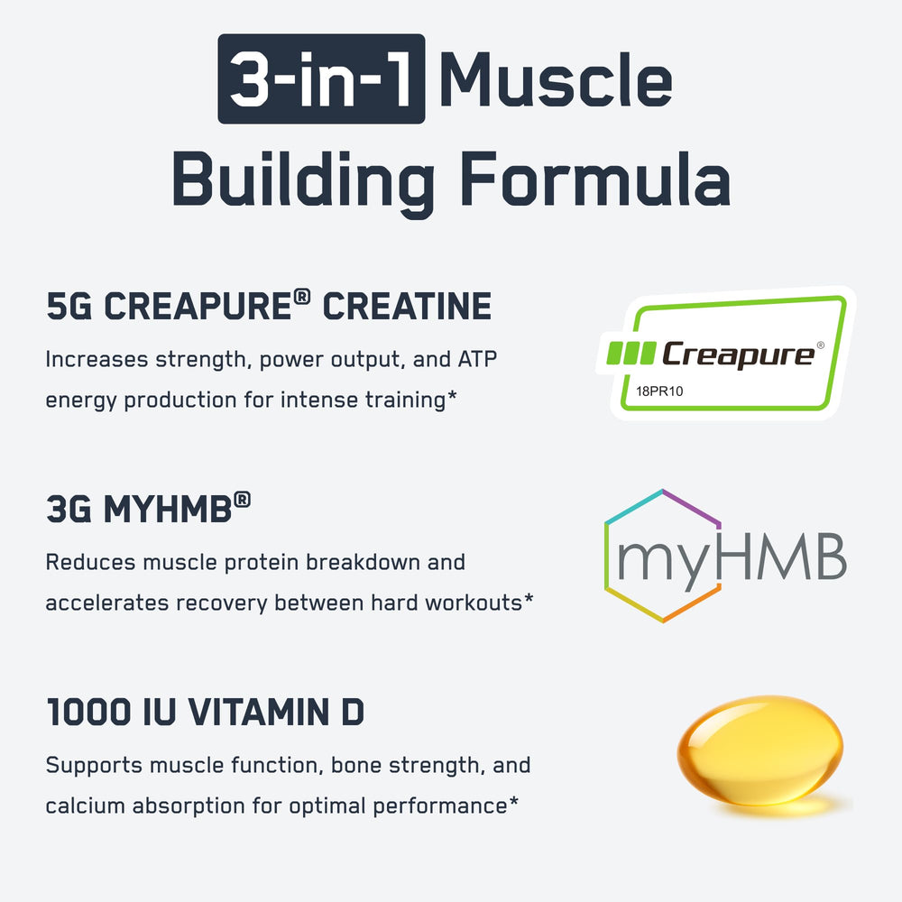 SteelFit Creatine HMB powder dissolving in water supports clean energy and endurance.