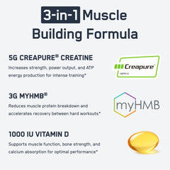 SteelFit Creatine HMB powder dissolving in water supports clean energy and endurance.