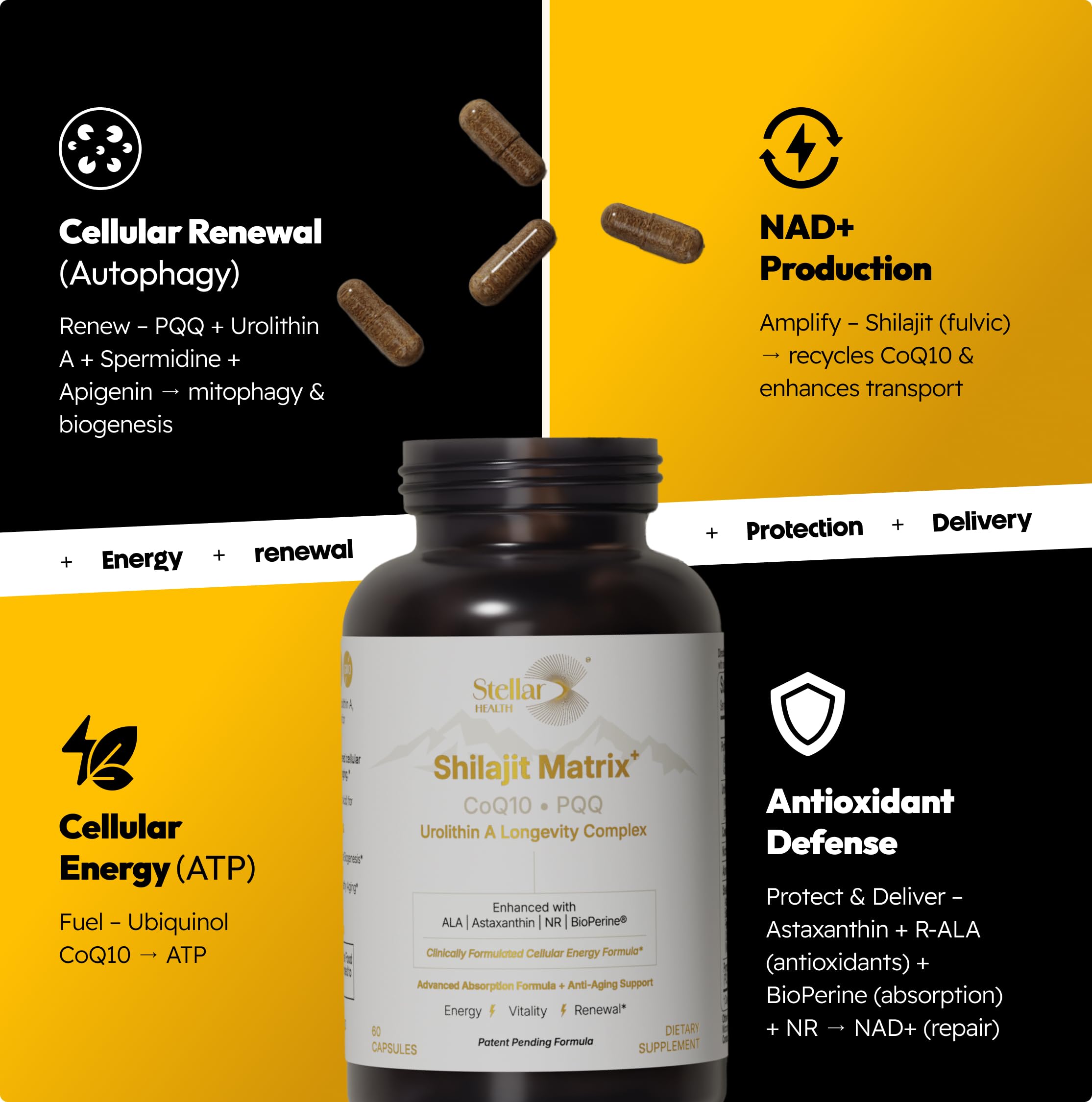 Stellar Health Ubiquinol-CoQ10 en cápsula: soporte energético celular