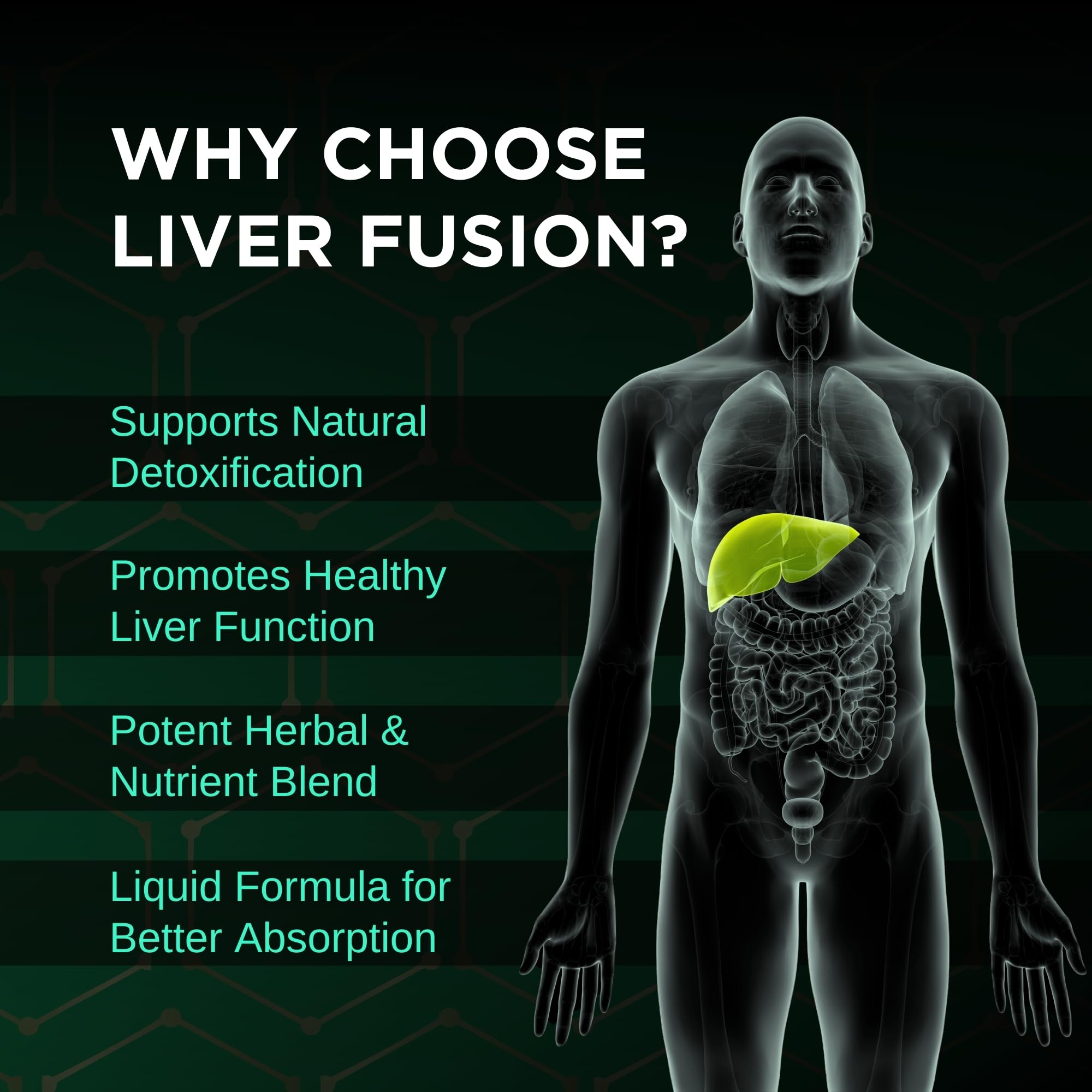 STERVA Liver Fusion dropper ready for precise, convenient dosing