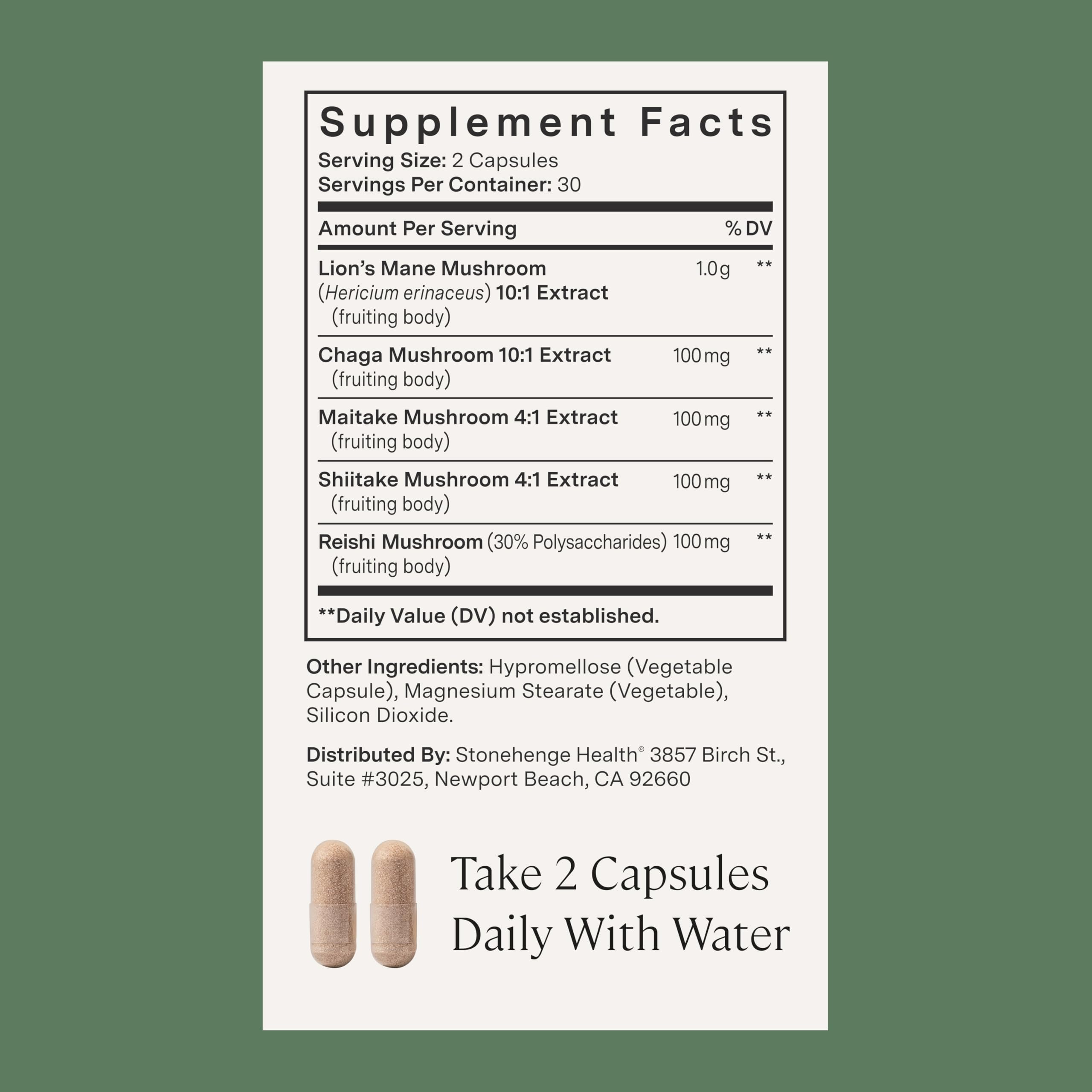Stonehenge Dynamic Health Mushrooms chaga-closeup highlighting nutrient-dense blend.