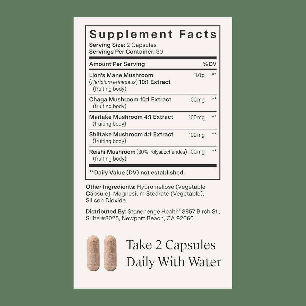 Stonehenge Dynamic Health Mushrooms chaga-closeup highlighting nutrient-dense blend.