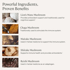 Stonehenge Dynamic Health Mushrooms lionmane-extract close-up for potential cognitive focus support.