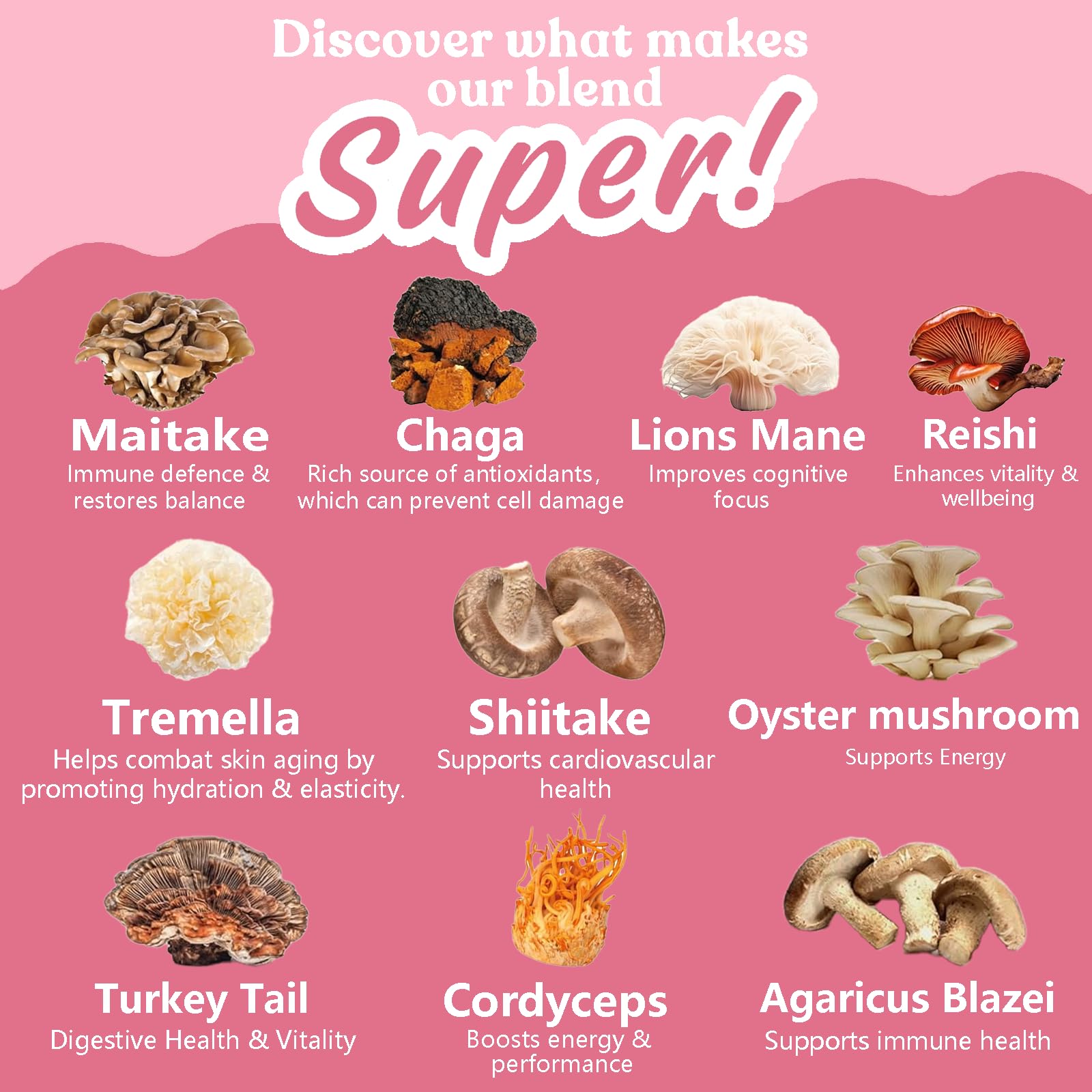 Suiyilary 10-mushroom powder blend canister for daily wellness boost.
