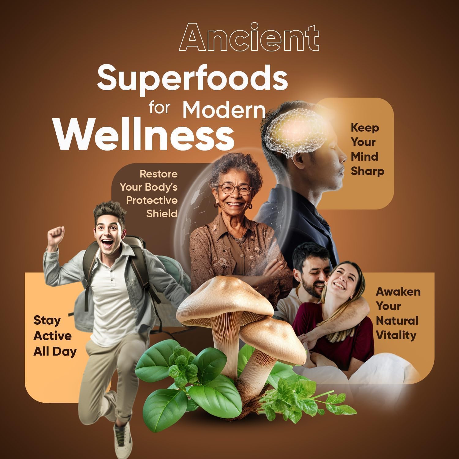 Suiyilary Mushroom Coffee label highlights premium ingredients and blend quality