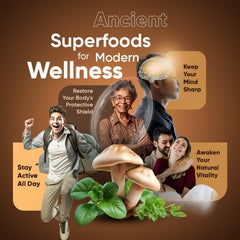 Suiyilary Mushroom Coffee label highlights premium ingredients and blend quality