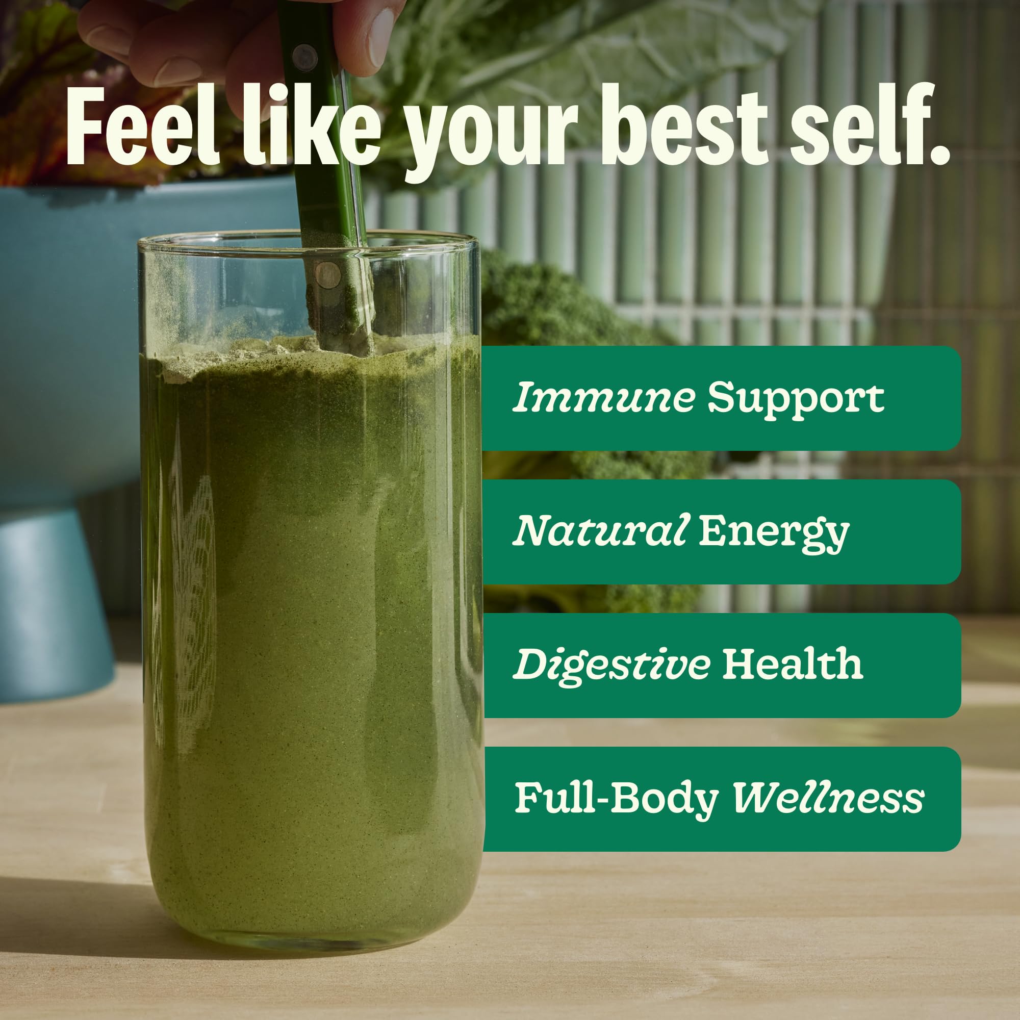 Suja Organic Greens Powder ingredients display kale, broccoli and spinach for nutrition.