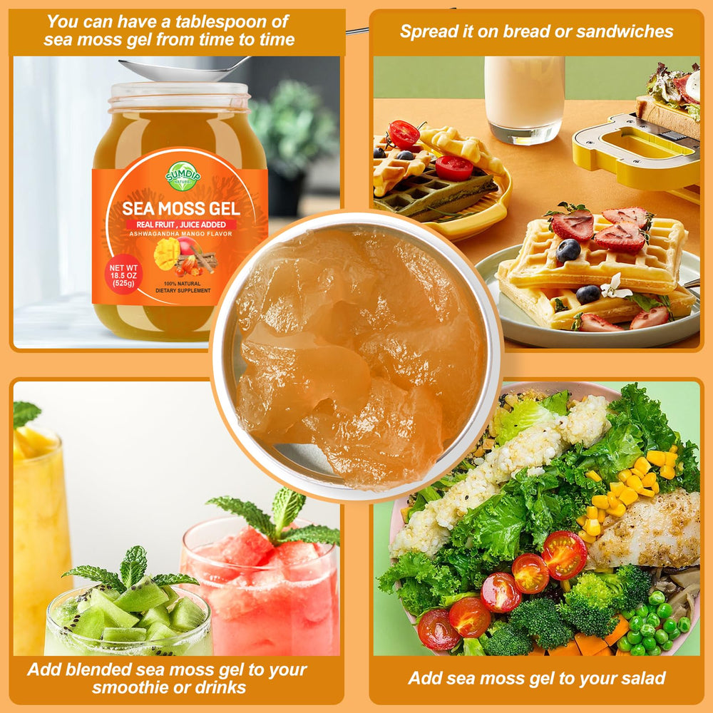 SumDIP sea moss gel ashwagandha mango bottle emphasizes flavorful daily routine.