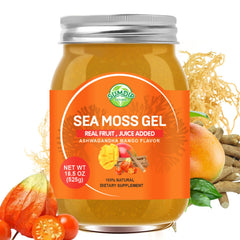 SumDIP sea moss gel jar shows nutrient-rich gel ready for daily use.