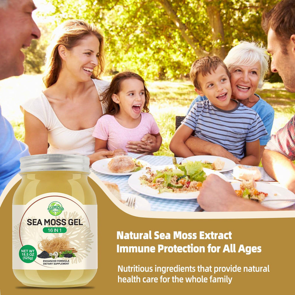 SumDIP Sea Moss Gel usage ideas in shakes, smoothies, or desserts.