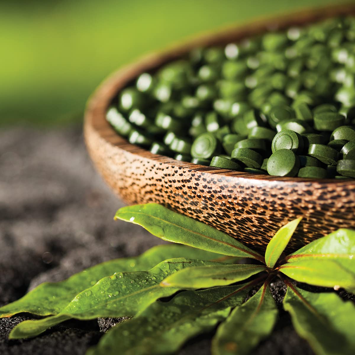 Sun Chlorella natural green color and clean label emphasis.