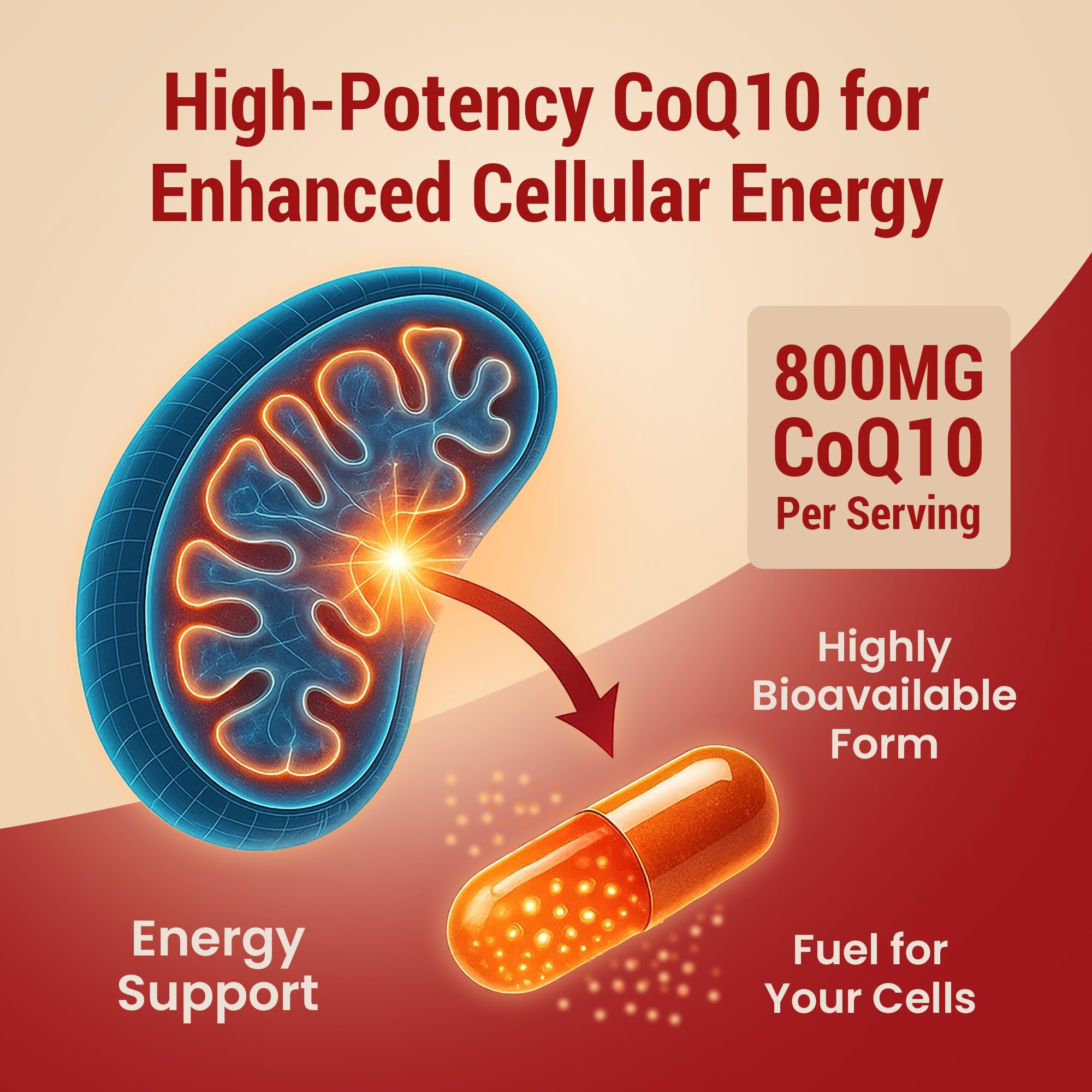 Detail of Sundhed Natural CoQ10 label with dosage information and branding