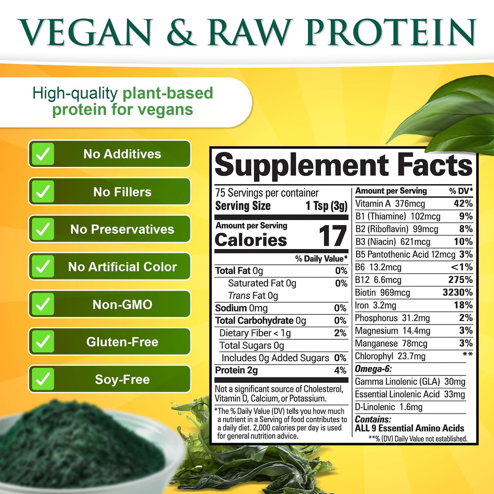 Sunlit Best Spirulina Powder texture close-up, ideal for blending