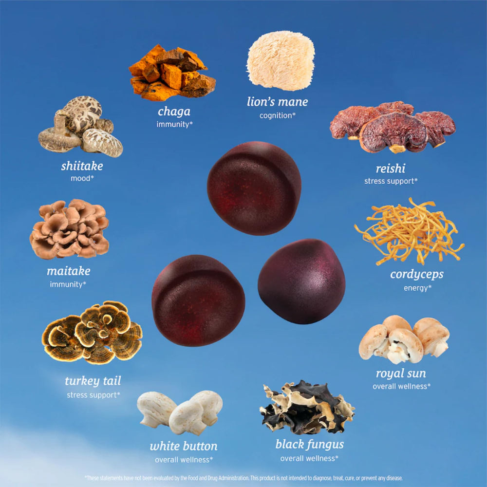SUNMED All-in-One Mushroom Gummies ingredients panel highlighting 10 mushrooms.