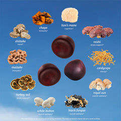 SUNMED All-in-One Mushroom Gummies ingredients panel highlighting 10 mushrooms.
