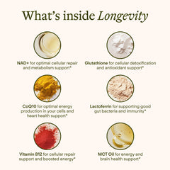 Sunny Within Longevity bottle label highlighting bioavailable NAD content.