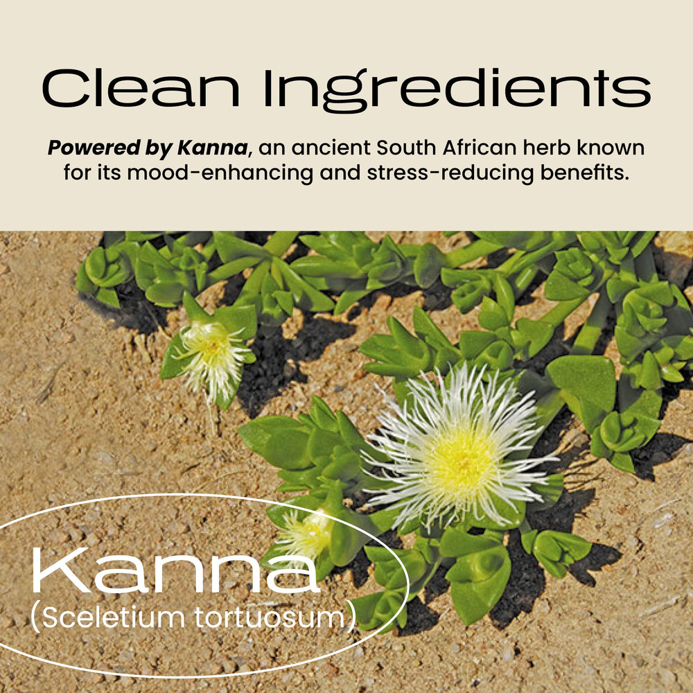 Sunrise Balanced Energy Kanna in a glass with fizz and tropical hue