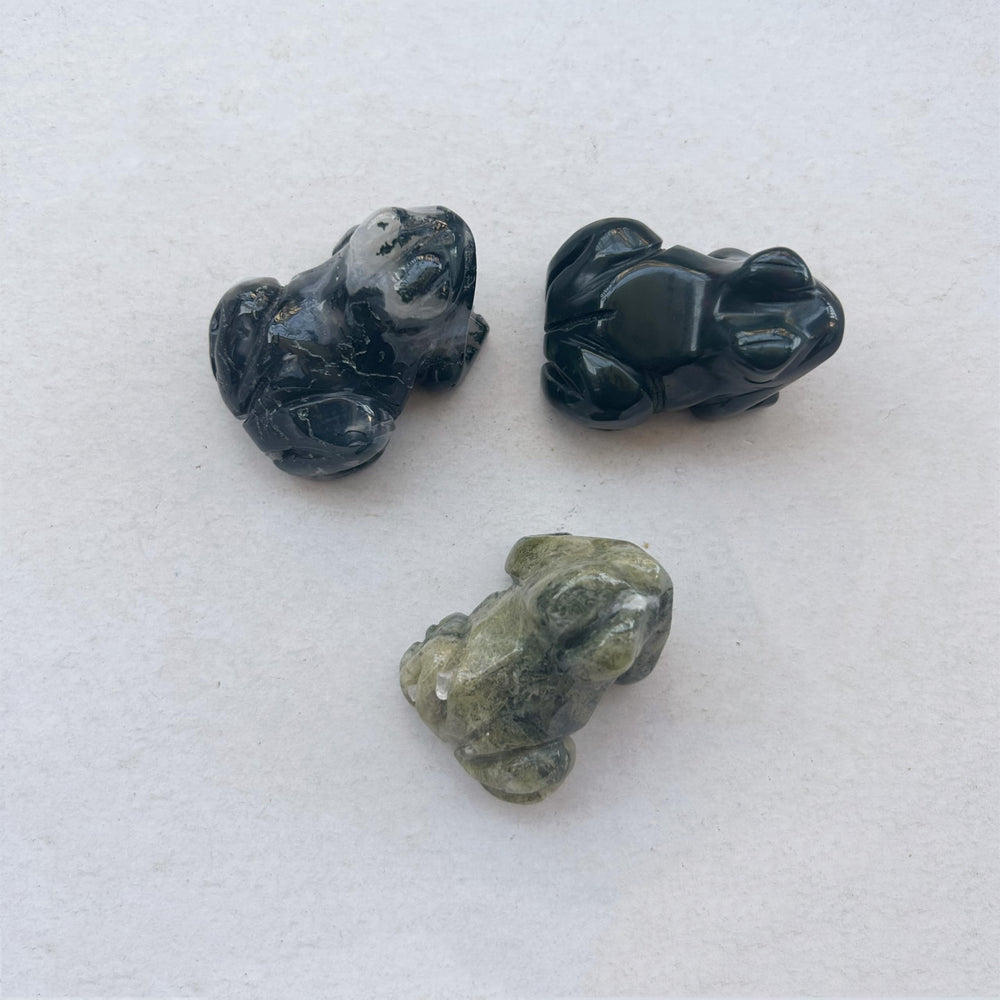 Sunshcat crystal frog gift set symbolic charm for positive energy and gifting