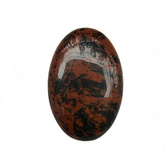 Sunshcat Golden Swan palm crystal oval held for calm focus during meditation