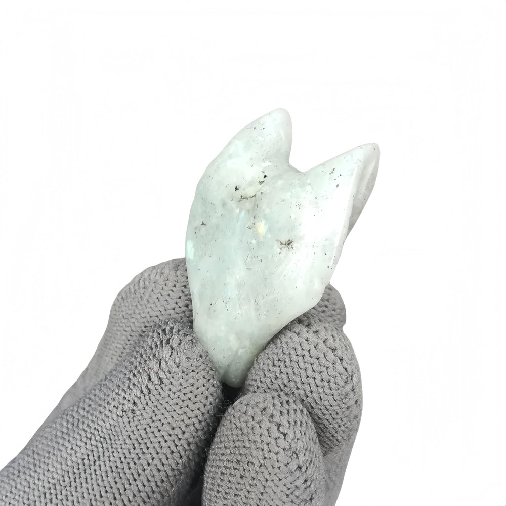Sunshcat Moonstone Crystal Pendant concept for DIY jewelry and personal talisman.