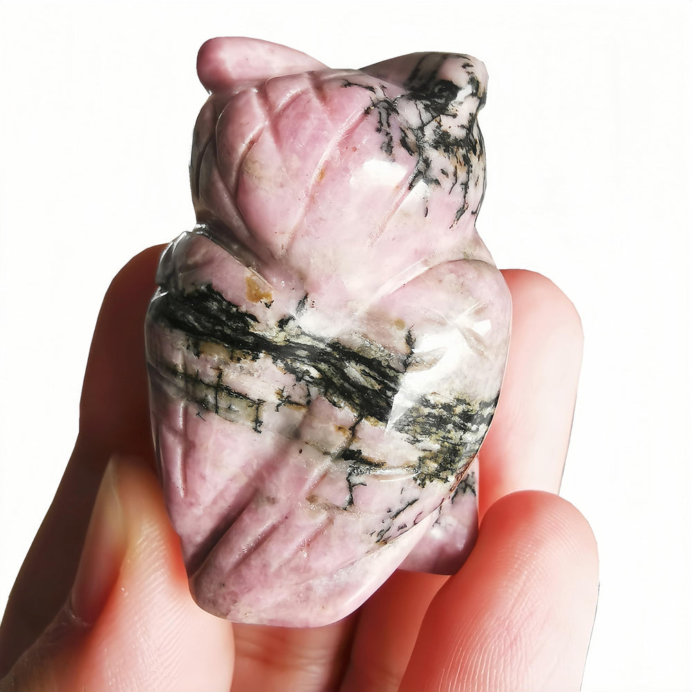 Sunshcat rhodonite owl figurine side view for room decor.