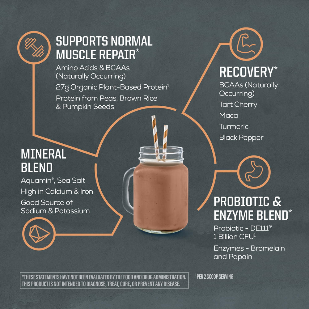 Sunwarrior shake in glass with chocolate peanut butter flavor for quick nutrition