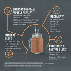Sunwarrior shake in glass with chocolate peanut butter flavor for quick nutrition