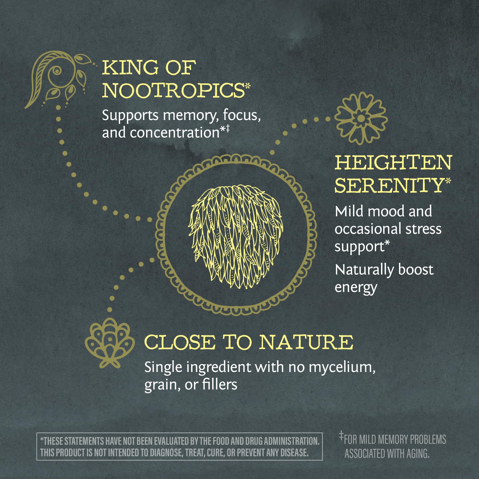 Sunwarrior Lions Mane Powder blends into soups for mood-friendly meals.