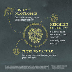 Sunwarrior Lions Mane Powder blends into soups for mood-friendly meals.