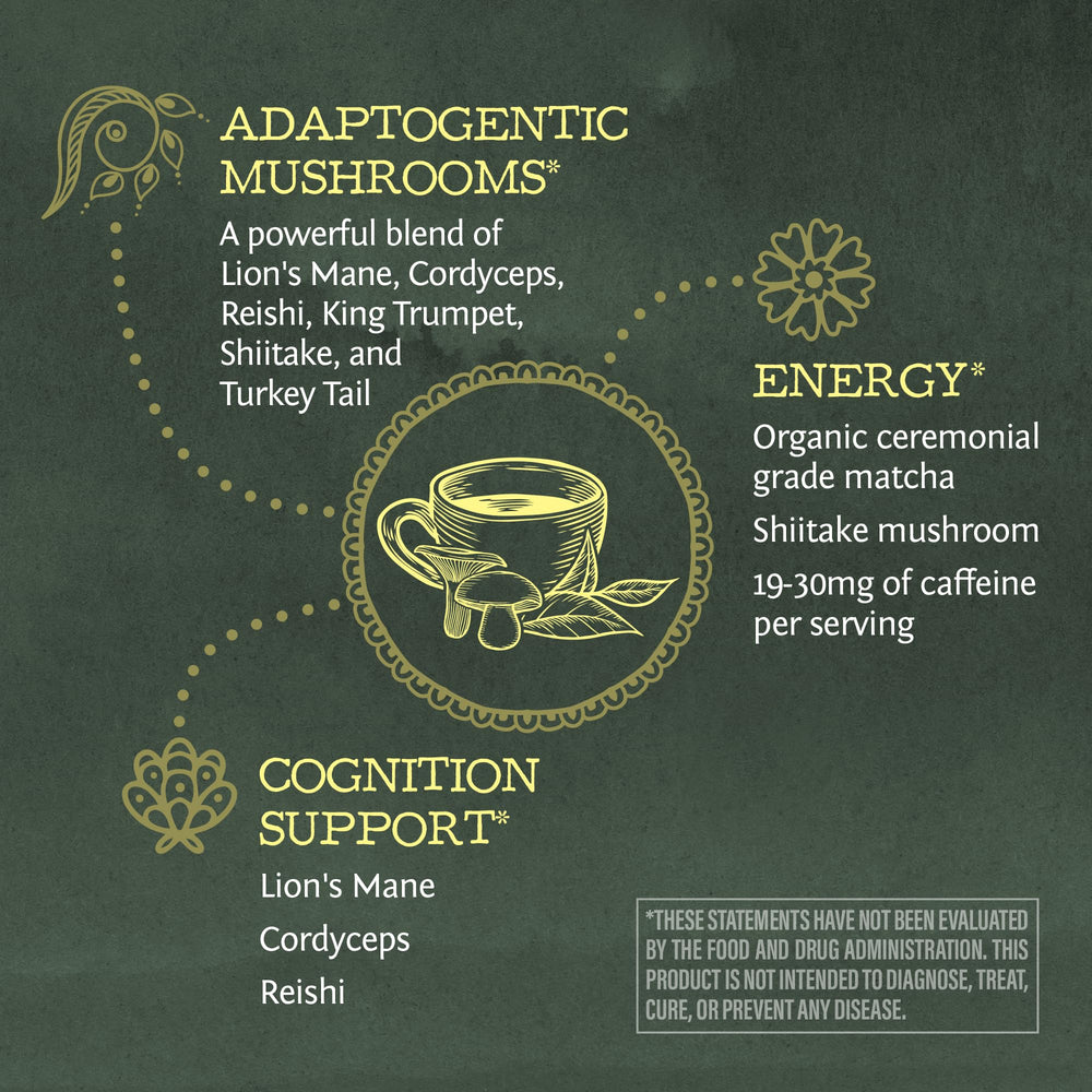 Sunwarrior mushroom ingredients Lions Mane Cordyceps Reishi in the blend