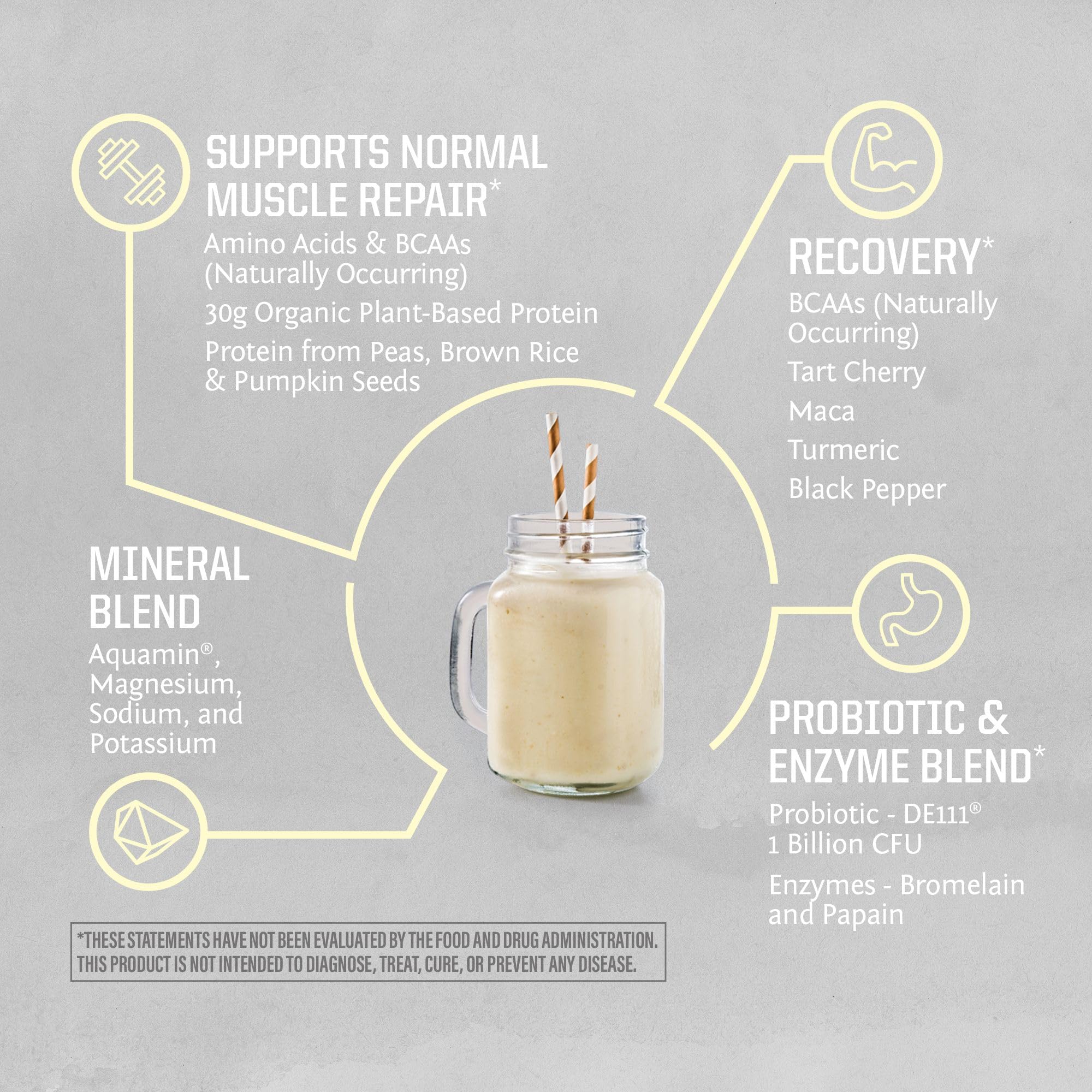 Sunwarrior vanilla protein powder with probiotic enzymes for digestion