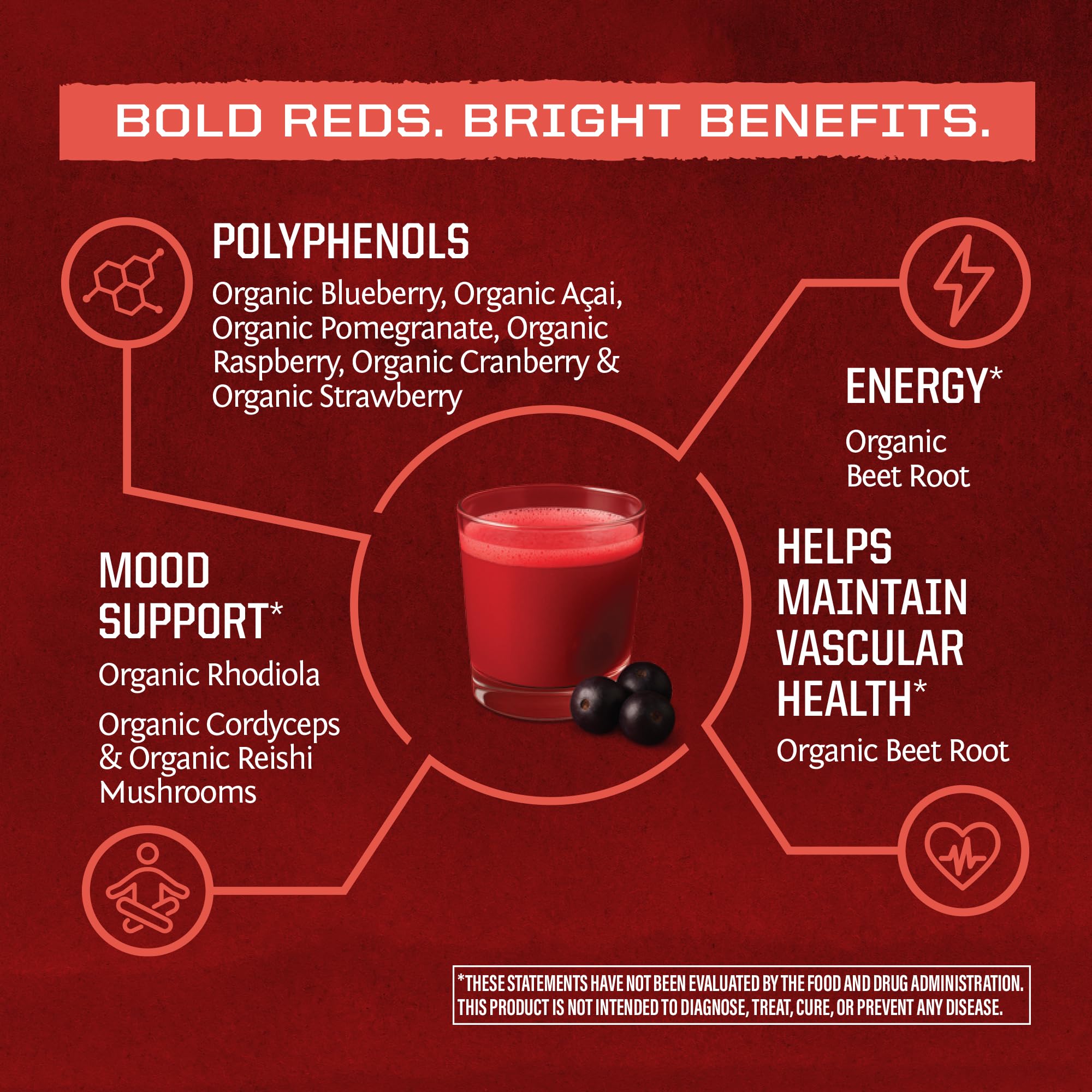 Sunwarrior Reishi and Cordyceps mushrooms support adaptive resilience