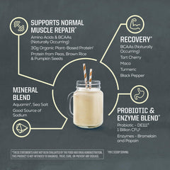 Sunwarrior rice pumpkin pea protein sources highlight plant-based nutrition
