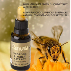 Sunyata green propolis maceration process hinting at potency and age