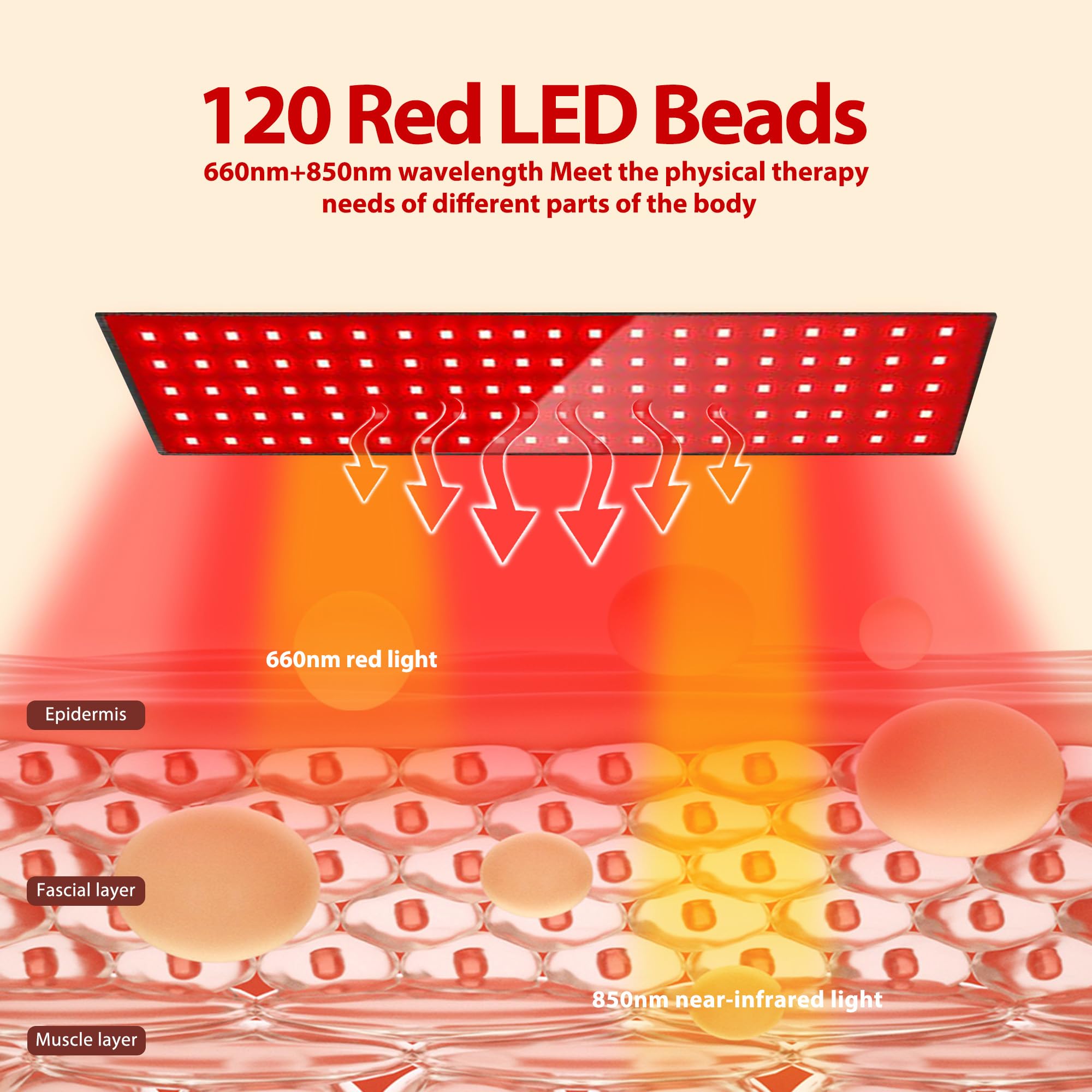 Suokeay red light therapy belt full-body coverage offers enveloping warmth across large areas.