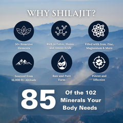 Super Natural Goods Pure Shilajit dry drops mineral texture close-up signals fulvic acid and trace minerals.