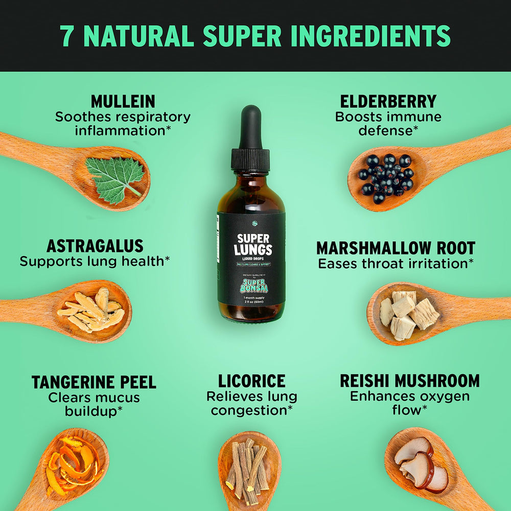 Reishi mushroom infusion adds depth to herbal respiratory support