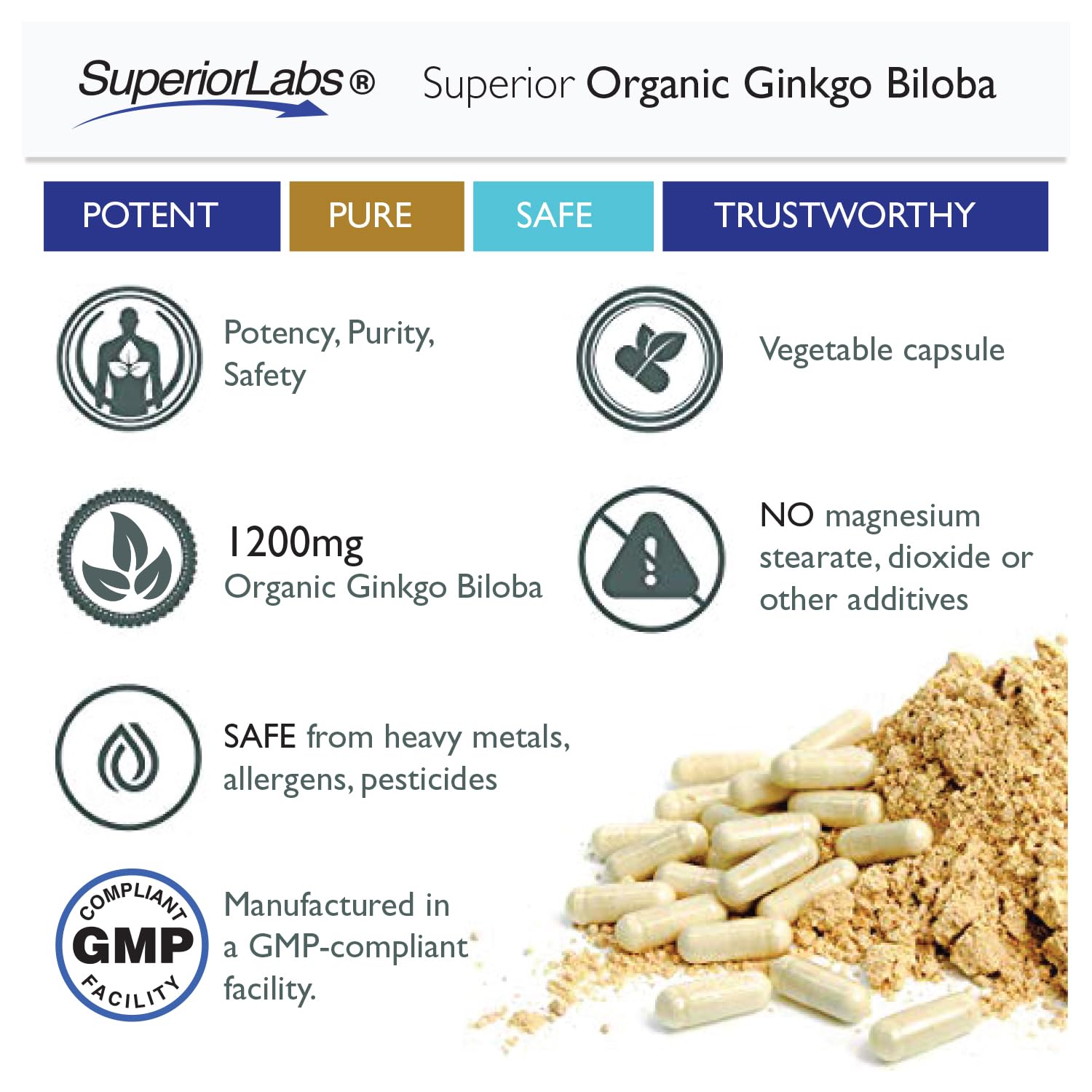Ginkgo biloba leaf detail emphasizing natural herb quality