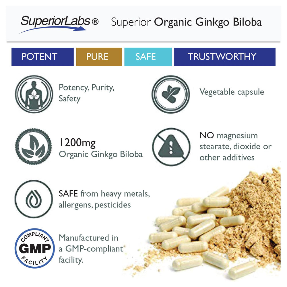 Ginkgo biloba leaf detail emphasizing natural herb quality