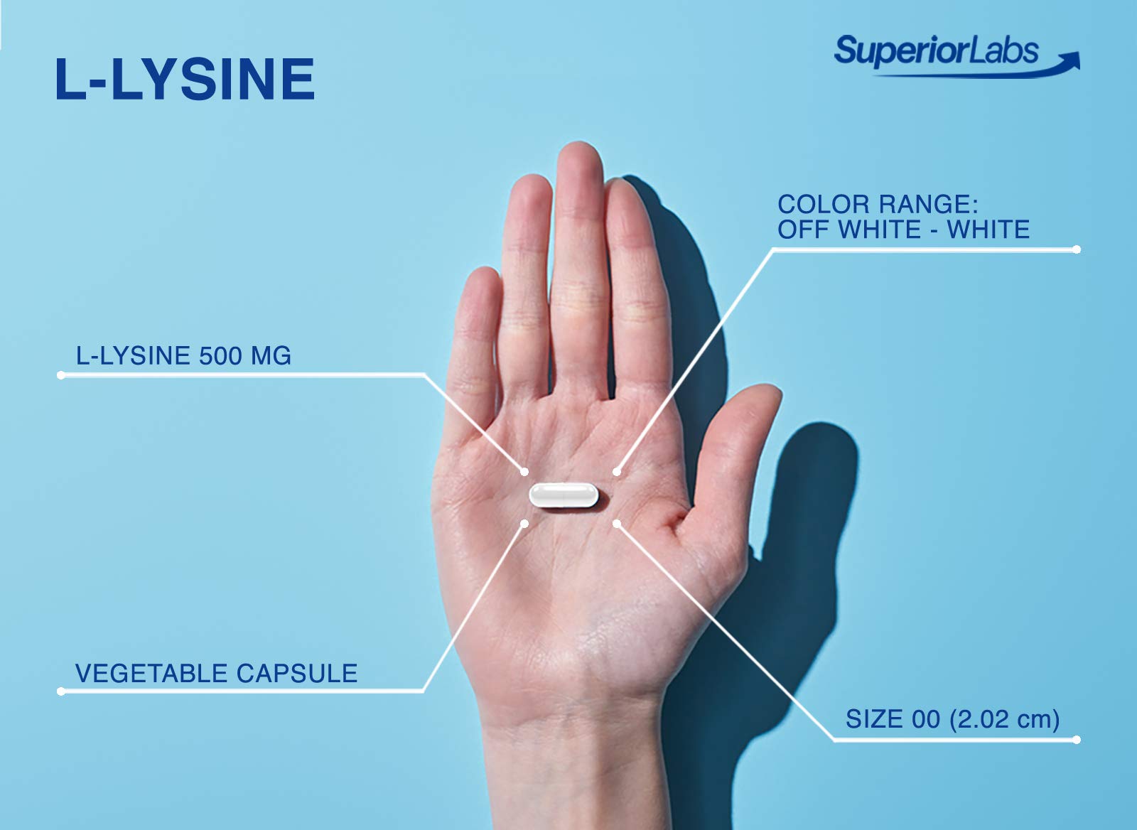 Superior Labs L-Lysine packaging glass bottle on countertop conveys purity.