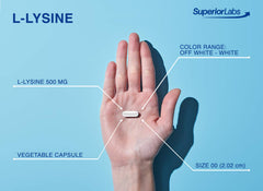 Superior Labs L-Lysine packaging glass bottle on countertop conveys purity.