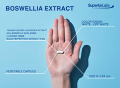 Superior Labs bottle emphasizing a pure formula with no fillers