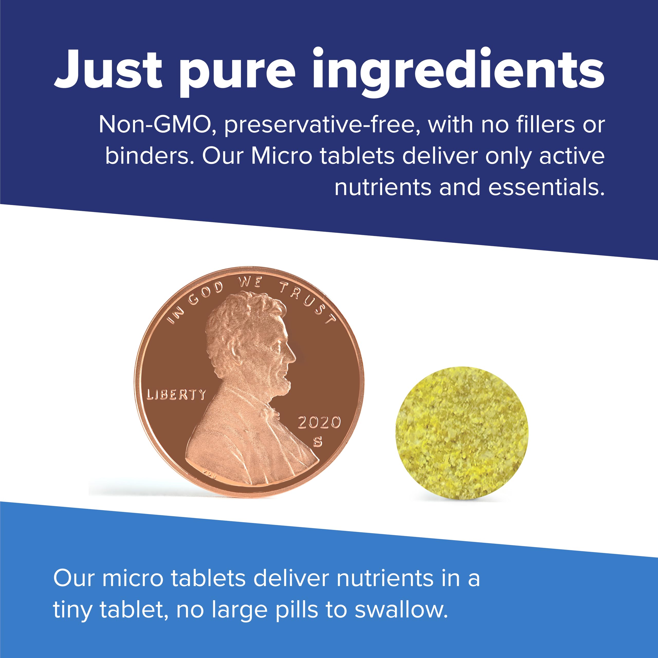 Superior Source bariatric-friendly formula supports easy folate intake