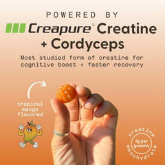 SuperMush Creatine Gummies jar with opening, easy daily routine and focus.