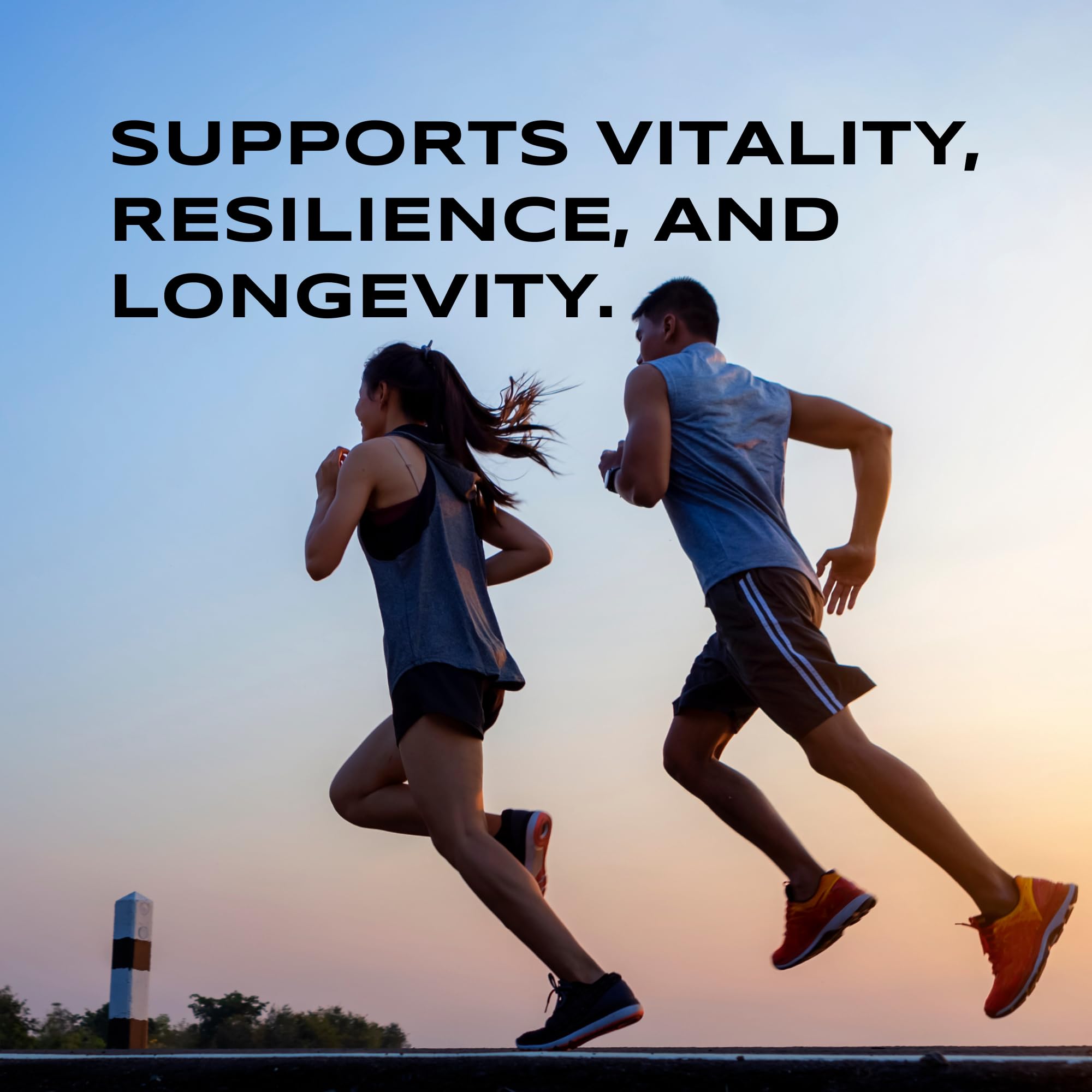 DAKE vitamin graphic illustrating D‑A‑K‑E synergy for daily wellness.